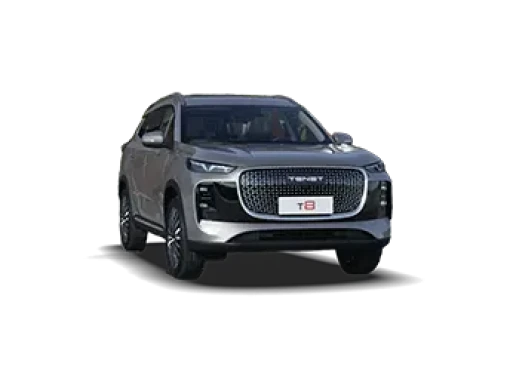 T8